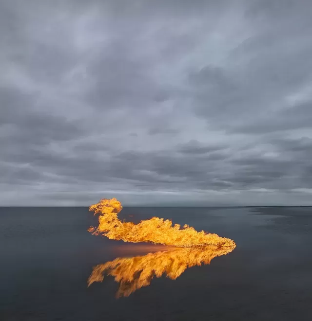 Tree on fire in a lake by photographer, Murray Fredericks