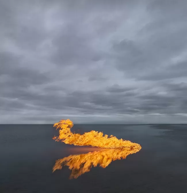 Tree on fire in a lake by photographer, Murray Fredericks