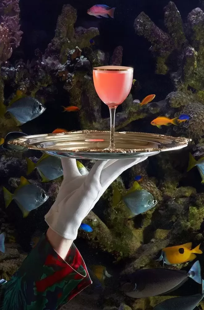 Luxury cuisine at Sexy Fish