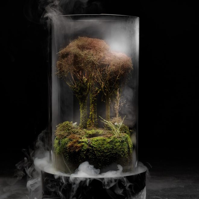 Walk in the woods centre piece by Jose Luis Lopez de Zubiria