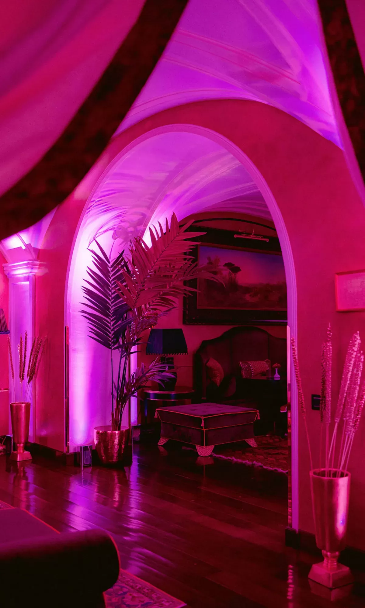 A stylish room with arched doorways is bathed in pink and purple lighting. Decorative plants in gold pots and elegant furniture are visible, creating a luxurious and dramatic atmosphere.