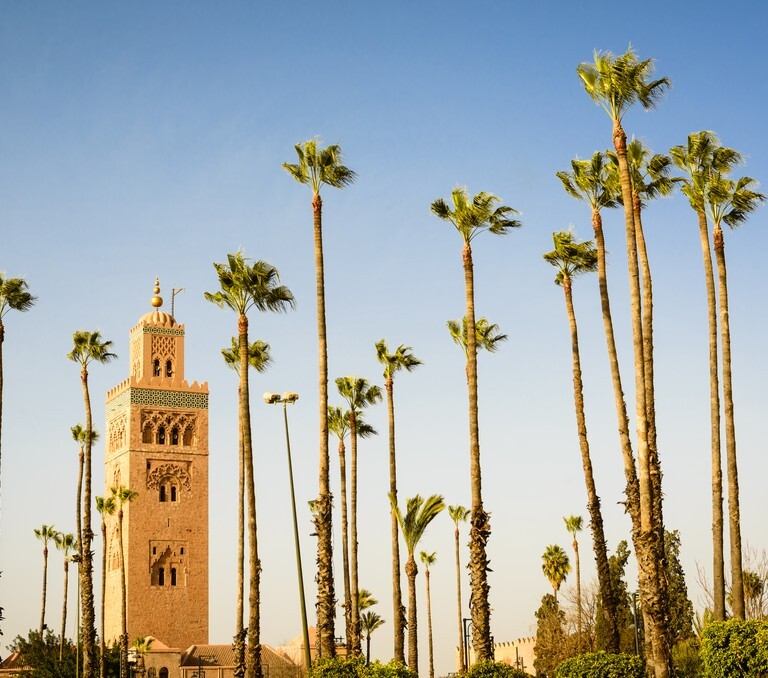 Alexander Watch Palm Trees Building Sky Marrakech Morocco