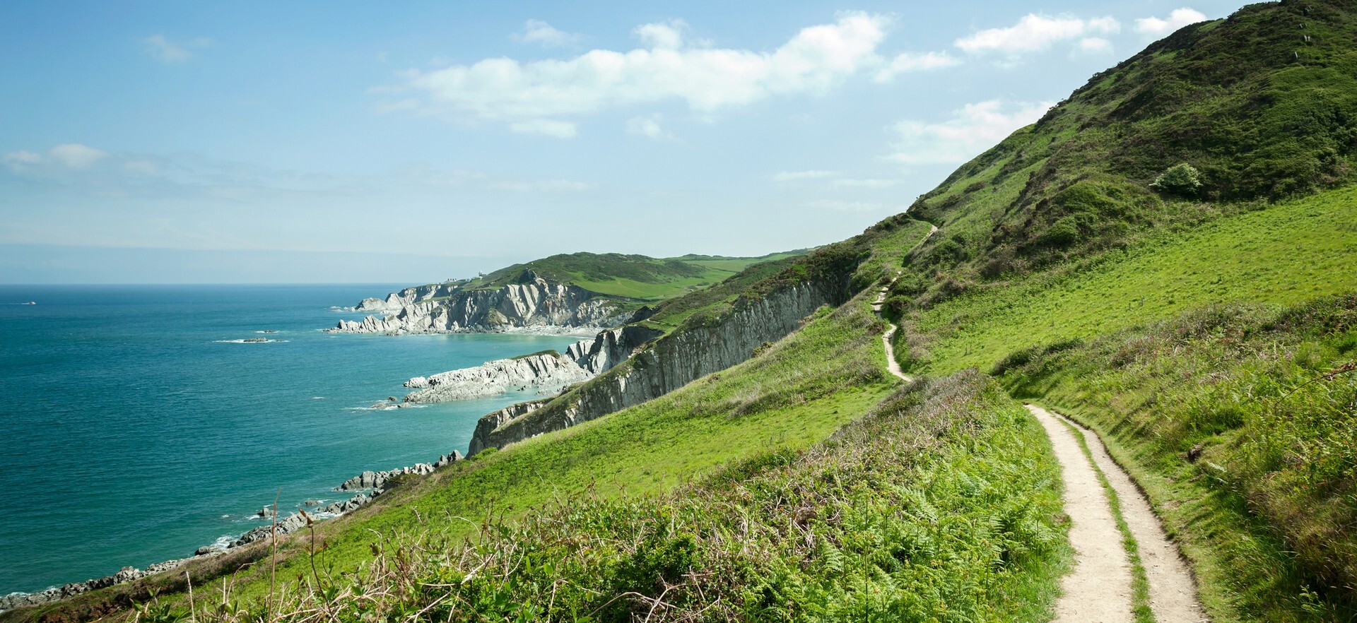 Devon Coastal Path Ocean White Cliffs Road England