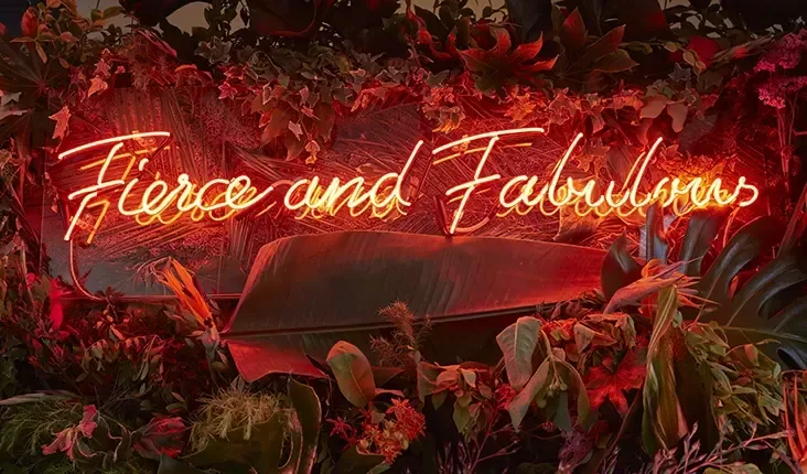 Bright neon sign featuring "fierce and fabulous," casting colourful light in a dark environment.