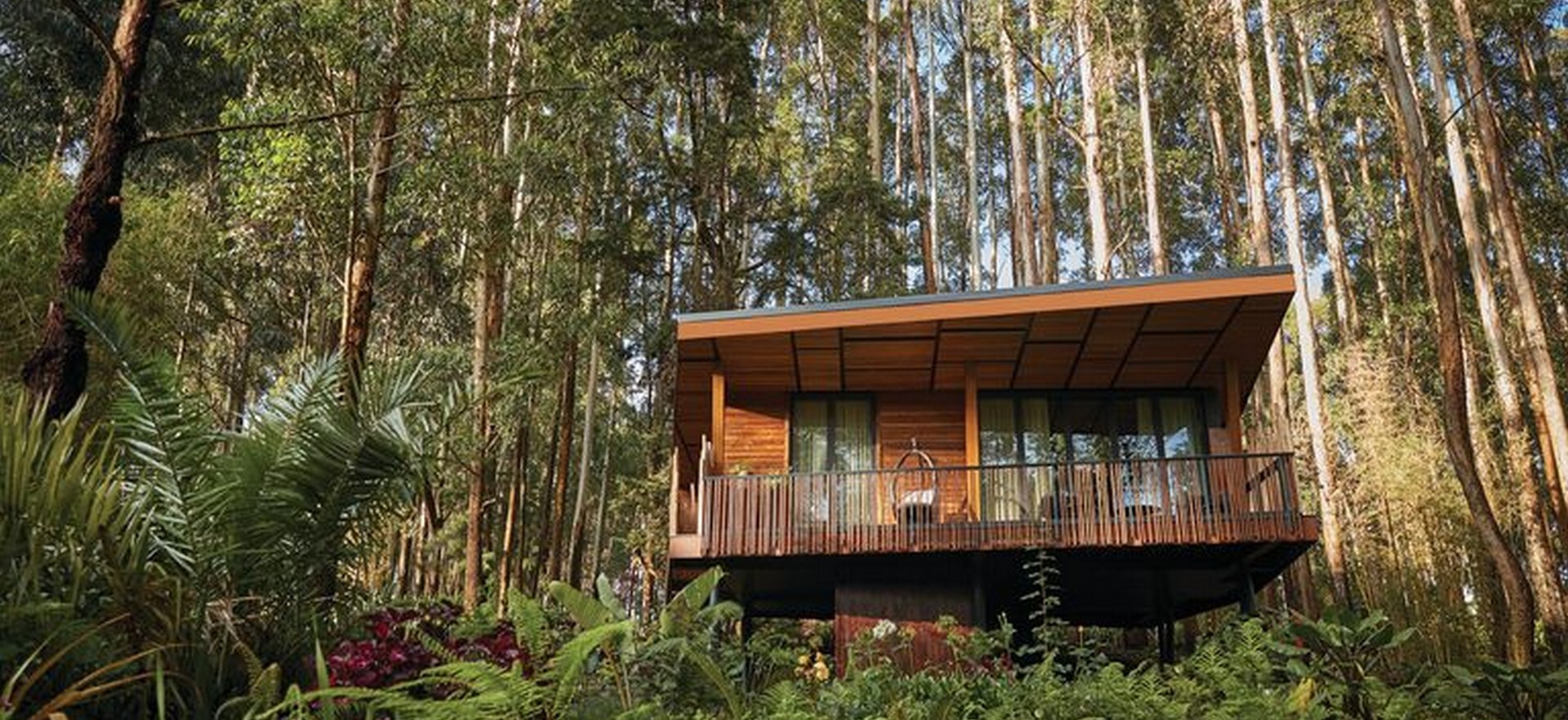 Oneand Only Nyungwe House Lodge Interior Jungle Rwanda