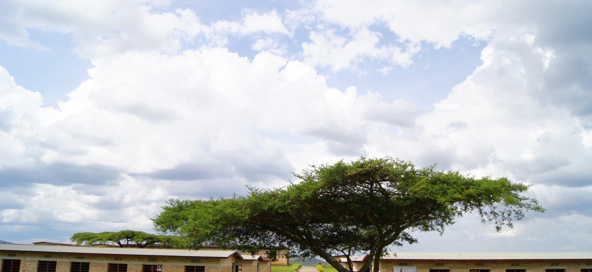 Read Kigali Genocide Memorial Centre Trees Buildings Rwanda