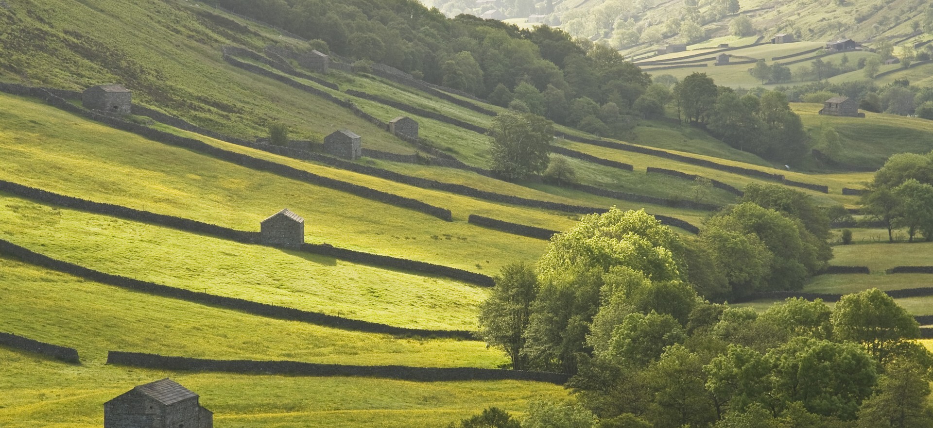 Yorkshire Moorland Houses Fields Stone Walls England