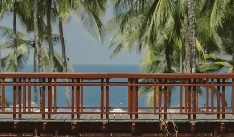A wooden bridge crosses over a reflective pond, with tall palm trees and a distant view of the blue ocean under a clear sky in the background.